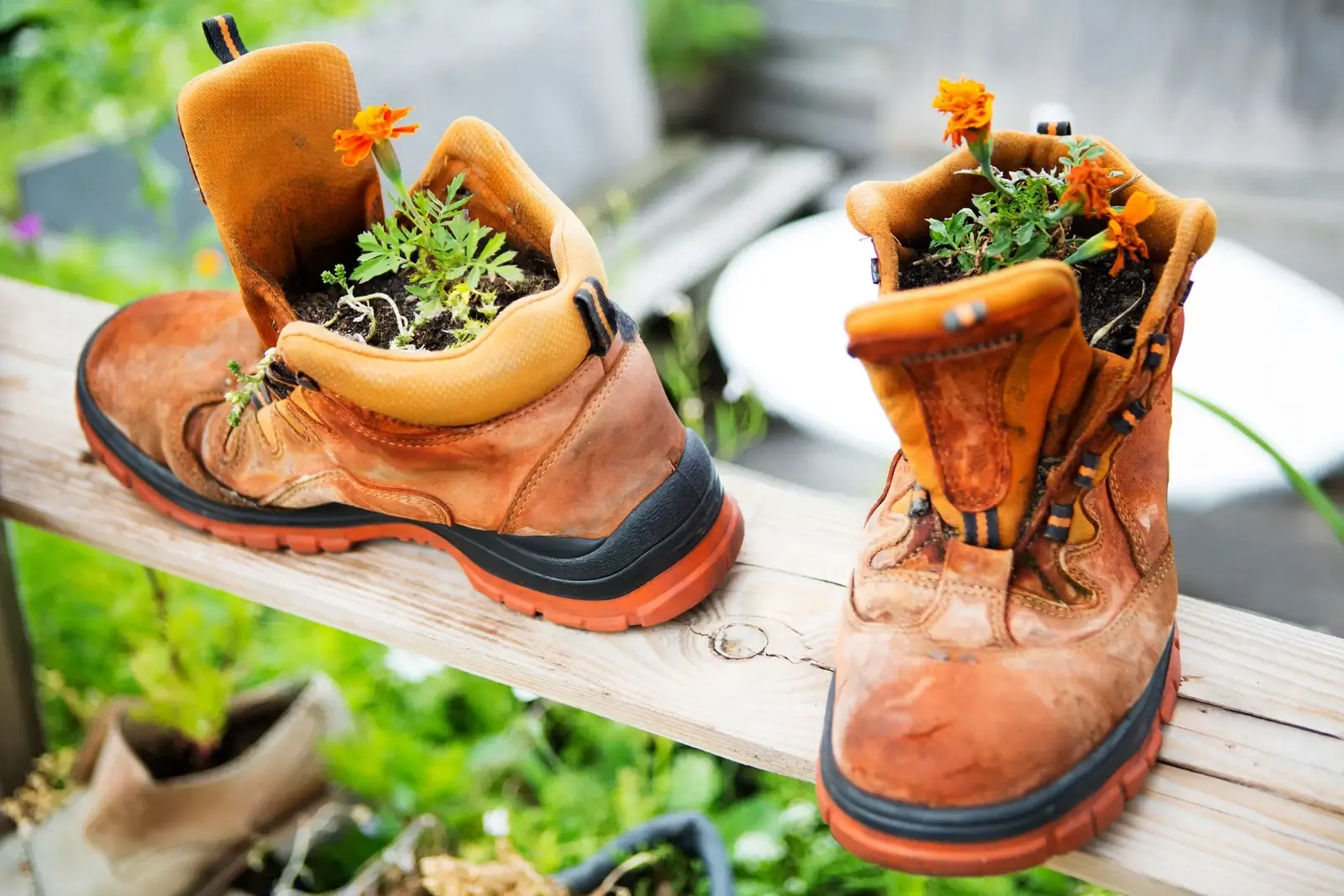 Chaussures de sécurité Valorisation Matière